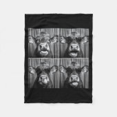 Funny Cow Sungles  Fleece Deken (Voorkant)