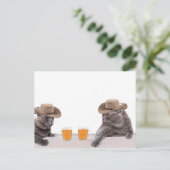 Funny cowboy katten drink bier briefkaart (Staand voorkant)