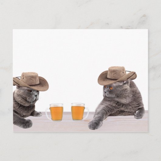 Funny cowboy katten drink bier briefkaart (Voorkant)
