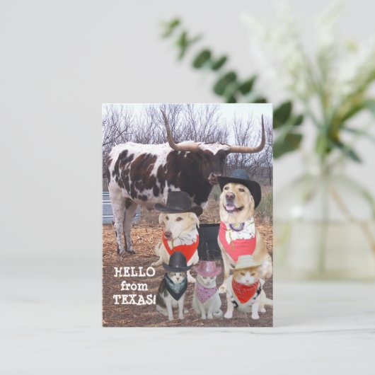 Funny Cowboy Pets Hallo uit Texas Briefkaart (Staand voorkant)