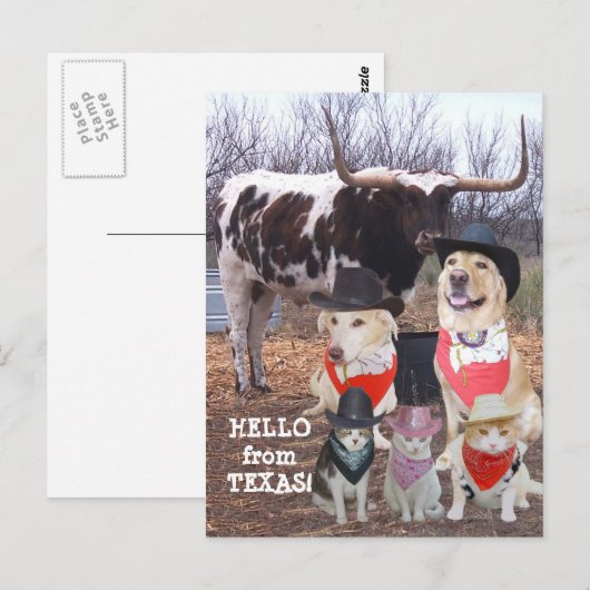 Funny Cowboy Pets Hallo uit Texas Briefkaart (Voorkant / Achterkant)