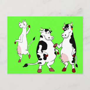 Funny Cows cartoon Briefkaart