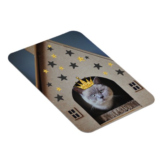 Funny Crabby Grumpy Cat Photography Cute Cat Lover Magneet (Rechterzijde)