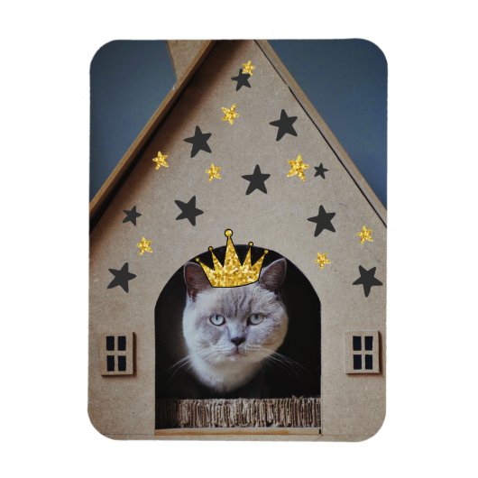 Funny Crabby Grumpy Cat Photography Cute Cat Lover Magneet (Verticaal)