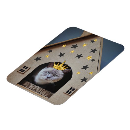 Funny Crabby Grumpy Cat Photography Cute Cat Lover Magneet (Linkerzijde)