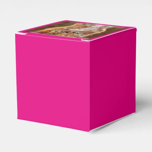 Funny Cranky Cat with Melthday Cupcake Bedankdoosjes (Voorkant Zijde)