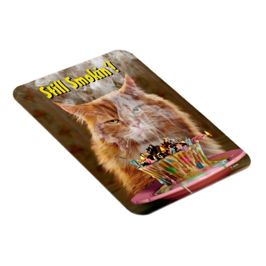 Funny Cranky Cat with Melthday Cupcake Magneet (Rechterzijde)