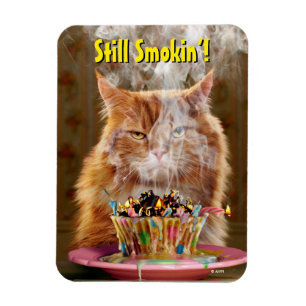 Funny Cranky Cat with Melthday Cupcake Magneet