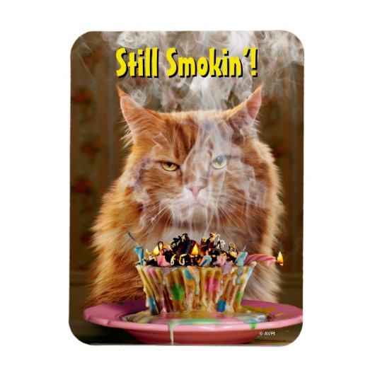 Funny Cranky Cat with Melthday Cupcake Magneet (Verticaal)
