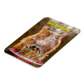 Funny Cranky Cat with Melthday Cupcake Magneet (Linkerzijde)
