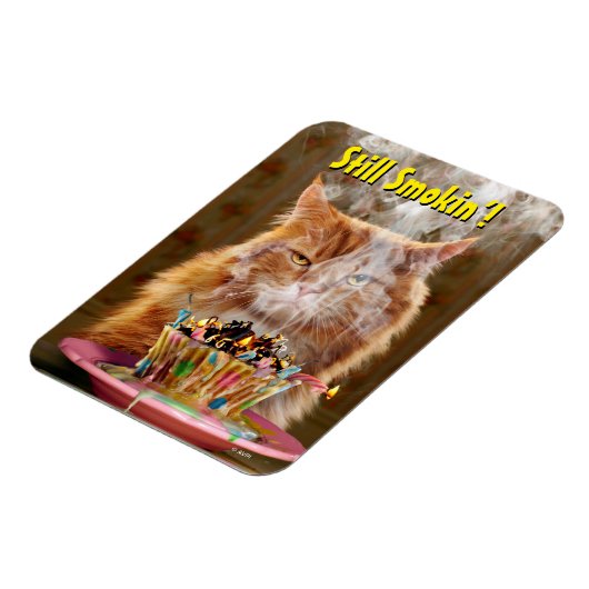 Funny Cranky Cat with Melthday Cupcake Magneet (Linkerzijde)