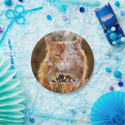 Funny Cranky Cat with Melthday Cupcake Papieren Bordje (Feest)