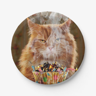 Funny Cranky Cat with Melthday Cupcake Papieren Bordje