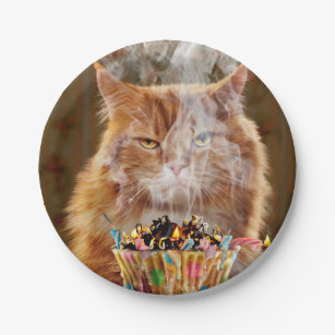 Funny Cranky Cat with Melthday Cupcake Papieren Bordje