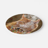 Funny Cranky Cat with Melthday Cupcake Papieren Bordje (Gekanteld)