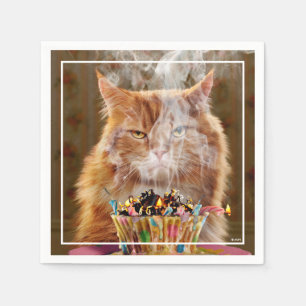 Funny Cranky Cat with Melthday Cupcake Servet