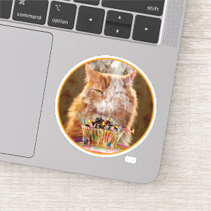 Funny Cranky Cat with Melthday Cupcake Sticker