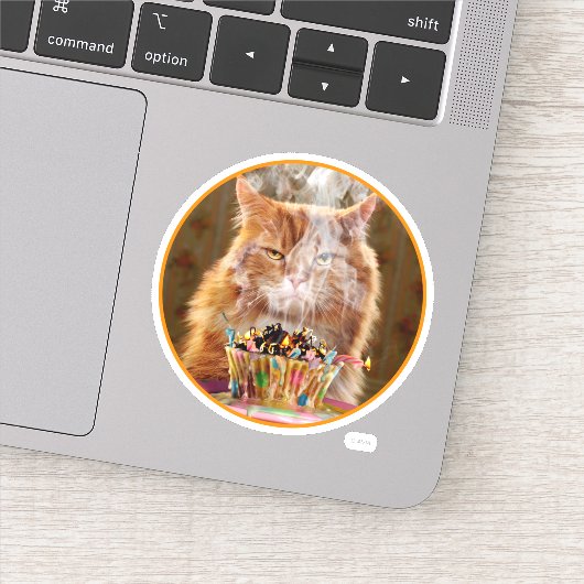 Funny Cranky Cat with Melthday Cupcake Sticker (Detail)