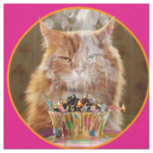 Funny Cranky Cat with Melthday Cupcake Stof (Close Up)