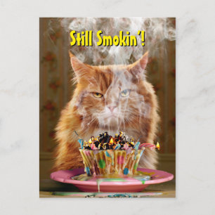 Funny Cranky Cat with Melthday Cupcake Uitnodiging Briefkaart