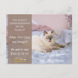 Funny Crazy Cat Humor Briefkaart