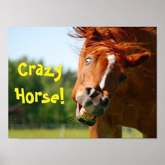 Funny Crazy Horse Animal Poster (Voorkant)