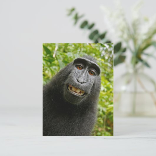 Funny Crested Monkey Glimlachend Gekke Selfie Briefkaart (Staand voorkant)