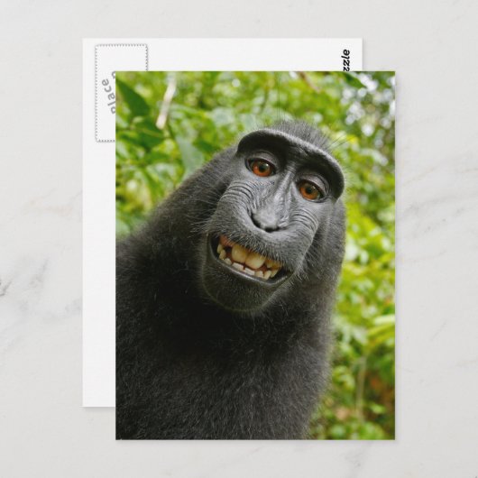 Funny Crested Monkey Glimlachend Gekke Selfie Briefkaart (Voorkant / Achterkant)