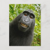 Funny Crested Monkey Glimlachend Gekke Selfie Briefkaart (Voorkant)