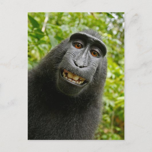 Funny Crested Monkey Glimlachend Gekke Selfie Briefkaart (Voorkant)