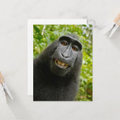 Funny Crested Monkey Kaart (Voorkant / Achterkant in situ)