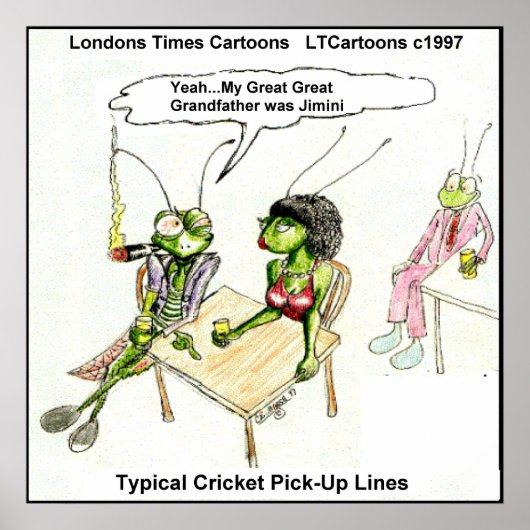 Funny Cricket Pick-Up Line Poster (Voorkant)