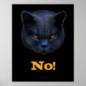 Funny Cross Cat zegt nee Poster (Voorkant)