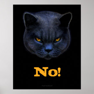Funny Cross Cat zegt nee Poster