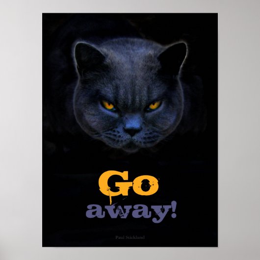 Funny Cross Cat zegt: Poster (Voorkant)
