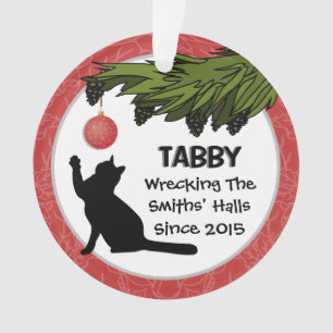 Funny Custom Cat and Owner Name Red Kersttree Ornament