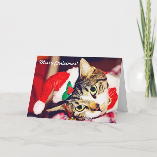 Funny Custom Cat Lover Red Kerstmis Wenskaart Feestdagen Kaart (Voorkant)