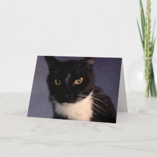 Funny Custom "from the Cat" Birthday Kaart