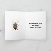 Funny Custom Message Personalised Stink Bug Kaart (Binnen)