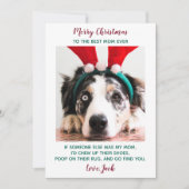 Funny Custom Pet Photo Dog Mam Merry Kerstmis Hol Feestdagenkaart (Voorkant)