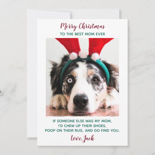 Funny Custom Pet Photo Dog Mam Merry Kerstmis Hol Feestdagenkaart (Voorkant)