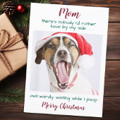 Funny Custom Pet Photo Dog Mam Merry Kerstmis Hol Feestdagenkaart