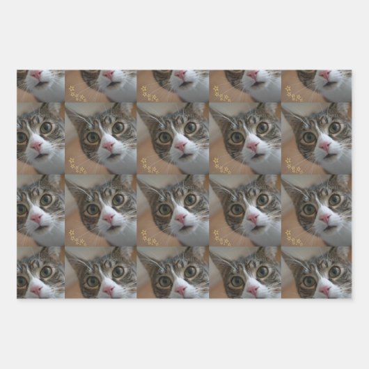 Funny Custom Photo Inpakpapier Vel (Voorkant 2)