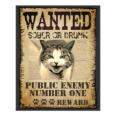 Funny custom want poster (Voorkant)