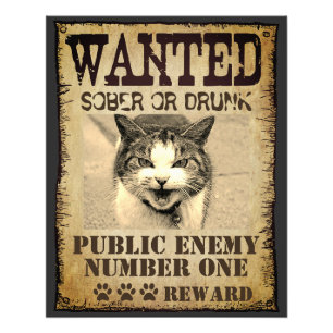 Funny custom wanted poster