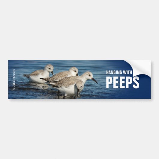 Funny Cute 4 Sanderlings Sandpipers bij het strand Bumpersticker (Voorkant)