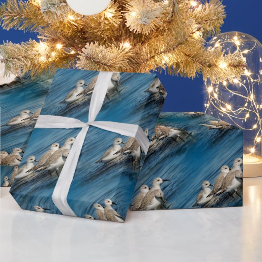 Funny Cute 4 Sanderlings Sandpipers bij het strand Cadeaupapier (Feestdagen)