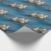 Funny Cute 4 Sanderlings Sandpipers bij het strand Cadeaupapier (Hoek)