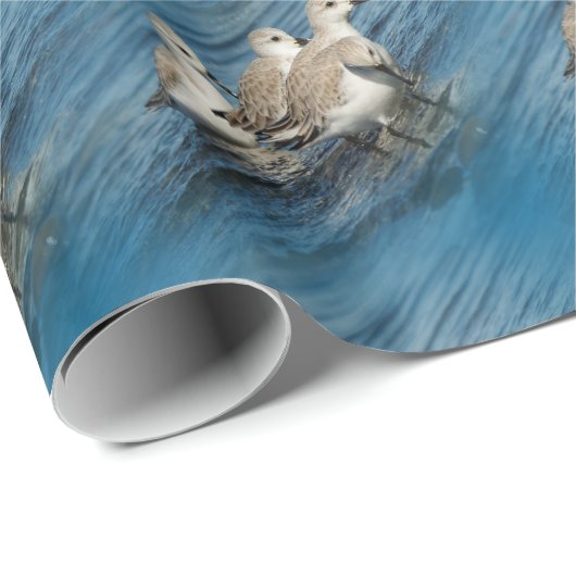 Funny Cute 4 Sanderlings Sandpipers bij het strand Cadeaupapier (Rol Hoek)