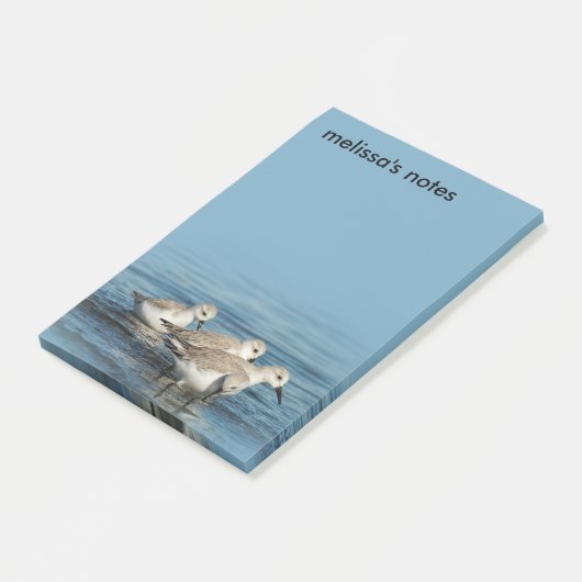Funny Cute 4 Sanderlings Sandpipers bij het strand Post-it® Notes (Schuin)